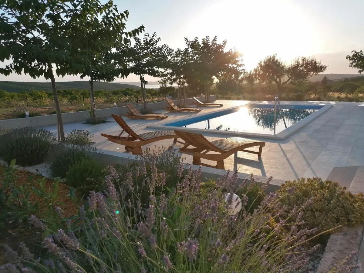 זאדאר Villa Jelena קרואטיה